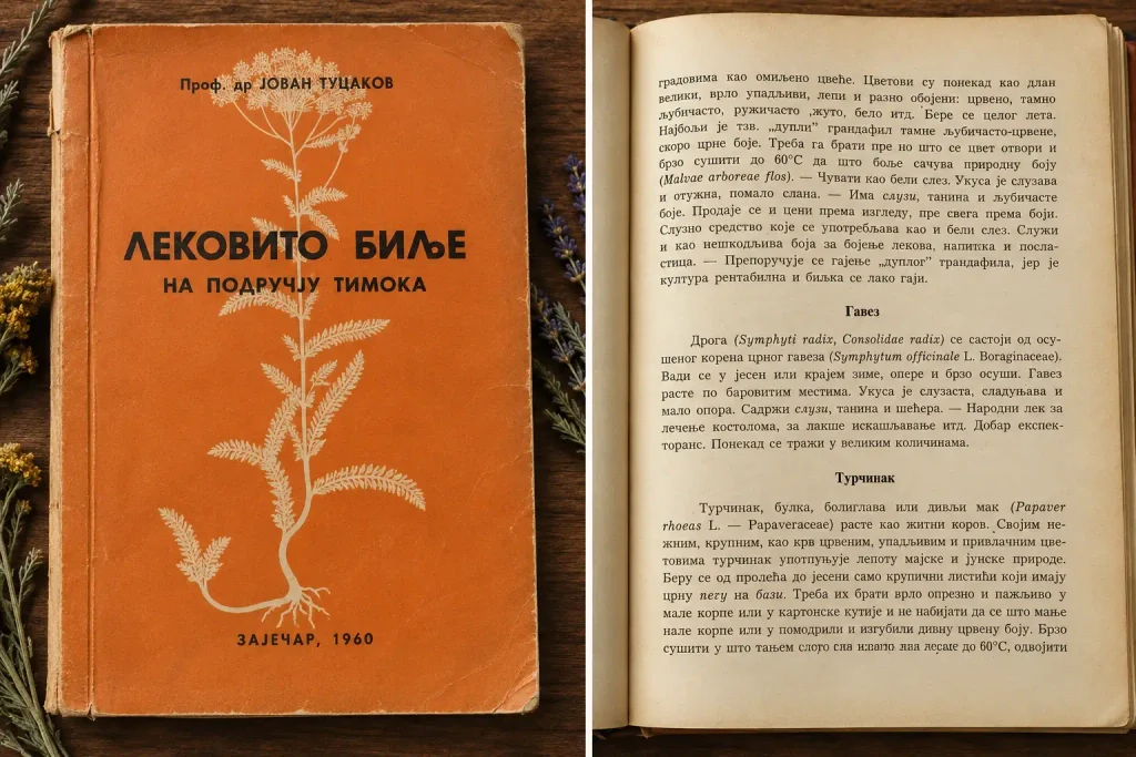 Gavez u knjizi Lekovito bilje na području Timoka – Jovan Tucakov, 1960.