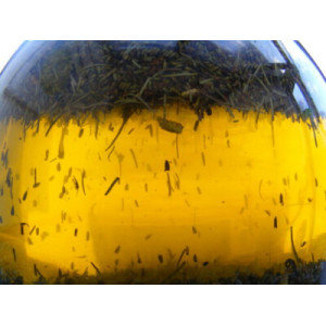 Infuzna ulja