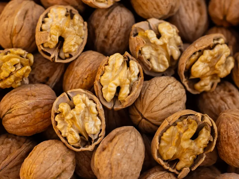 Nutritivni sastav orahovog ulja – omega masne kiseline i antioksidansi